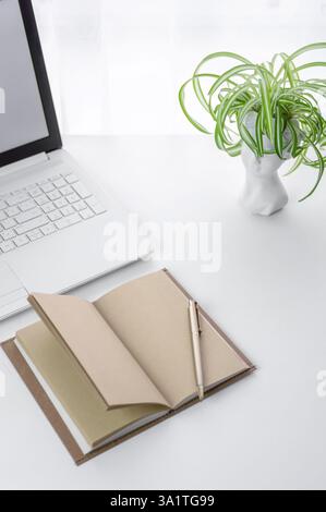 A clean, minimalist workspace featuring an open notebook with a pen, a white laptop, and a green plant in a white vase, set on a white desk. Ideal for Stock Photo