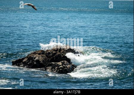 Waves surge around a rocky formation while a bird glides above the clear blue water. Stock Photo