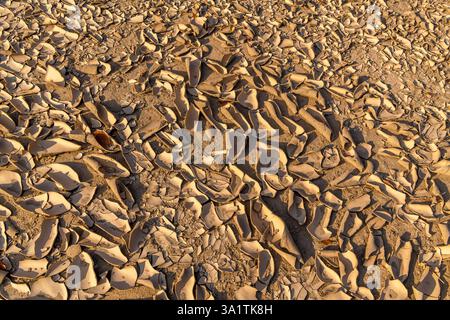 Cracked plate structure of a dry riverbed - background Stock Photo