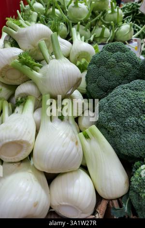 Vegetarian food. Broccoli florets are displayed in an artistic ...