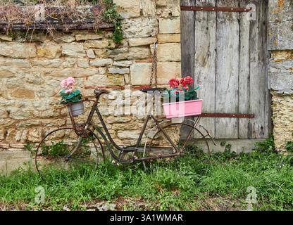 Rustic Bicycle Decorated With Flower Pots Against a Stone Wall Stock Photo