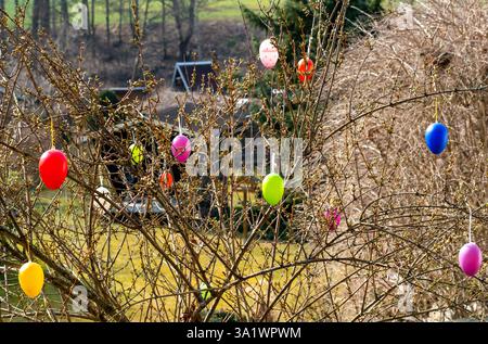Colorful Easter eggs move on a bush in spring 4k Stock Photo