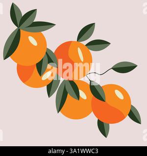 A beautiful vector illustration of fresh orange fruits hanging on a branch with green leaves. Stock Vector