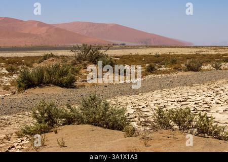 Cracked white clay in the dried-up river bed of the ephemeral Tsauchab river, with the high sand dunes of the Namib desert hazy hue Stock Photo