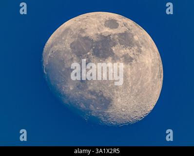 Sieversdorf, Germany. 10th Mar, 2025. The waxing moon, which is 89 percent visible, can be seen in the sky over Brandenburg. On Friday, March 14, the full moon will plunge into the Earth's shadow. The lunar eclipse begins when the moon enters the Earth's penumbra at 4:56 am. The shadow play only becomes visible when the moon enters the umbra at 6:09 am. At 7:26 a.m., the moon has completely entered the umbra and totality begins. However, for places in Central Europe, the moon will still set during the eclipse. Credit: Patrick Pleul/dpa/Ģ����ý Live News Stock Photo