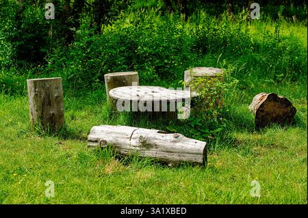 Wooden logs and a round table create a cozy seating space surrounded by vibrant greenery in a tranquil forest setting. Stock Photo