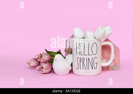 Germany - March 2025: Cute spring time decor arrangement with bird, tulip flowers and mug with text 'Hello Spring' on pink background with copy space Stock Photo