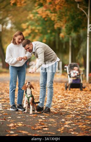 Making the dog stand by back legs, training. Lovely couple are with their cute dog outdoors. Stock Photo