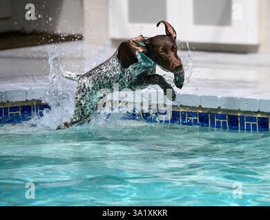 Springing into action Stock Photo