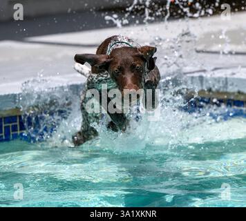 She walks on water Stock Photo