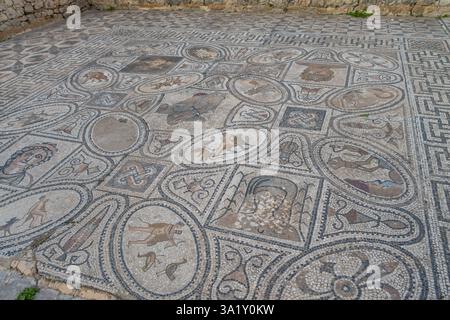 Floor mosaic in Orpheus house at archaeological Site of Volubilis, ancient Roman empire city, Unesco World Heritage Site, located in Morocco near Mekn Stock Photo