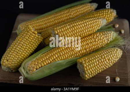 Fresh sweet corn cobs with green husks on rustic wooden cutting board, arranged in a natural composition with some broken ends Stock Photo