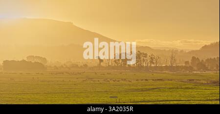Looking into a setting sun orange glow over grassy farm fields with cattle hills ranges trees, Meander valley, Deloraine, Tasmania, Australia Stock Photo