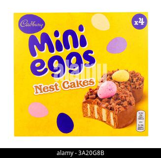 Cadbury Easter mini eggs nest cakes in a box containing four sponge cakes decorated with chocolate curls and a mini egg Stock Photo