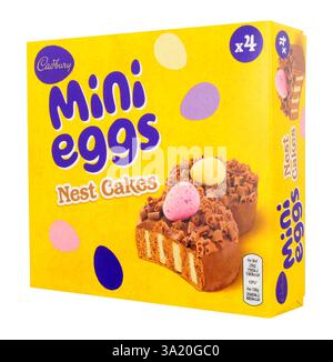 Cadbury Easter mini eggs nest cakes in a box containing four sponge cakes decorated with chocolate curls and a mini egg Stock Photo