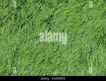 Artificial Synthetic green fibre grass lawn texture detail background Stock Photo