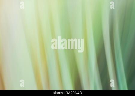 Abstract horizontal grass blurred background in green tones close up, colorful vertical lines. Backdrop Stock Photo