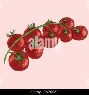 Watercolor illustration of a cluster of ripe cherry tomatoes on the vine against a light background Stock Vector