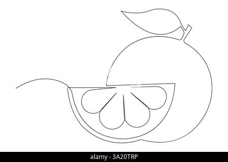 Vector abstract continuous one single line art drawing of icon orange fruit in sketch Stock Vector
