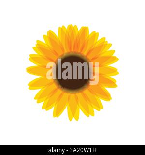 sunflower vector isolated on white background Stock Vector