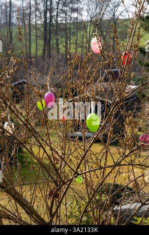 Colorful Easter eggs move on a bush in spring vertical Stock Photo