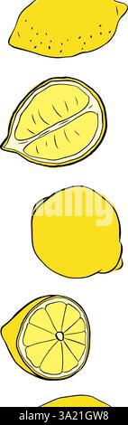Lemons cut and whole seamless vertical border. Citrus lemons line graphic ink vector art. art for food design, recipe, cook book, packages, menu, food Stock Vector