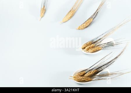Ears of wheat in a white ceramic spoon on a white background with text space Stock Photo