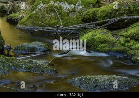 Rushing stream through mossy stones and fallen branches in the forest, Hoellbachtal, Upper Palatinate Stock Photo