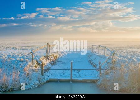 A winter landscape in Holland with a field with snow and fog and a golden glow from the sun at sunset Stock Photo