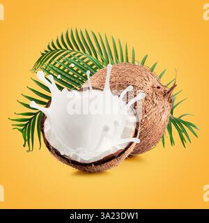 coconuts with palm leaves and milk splash on a yellow background. Stock Photo