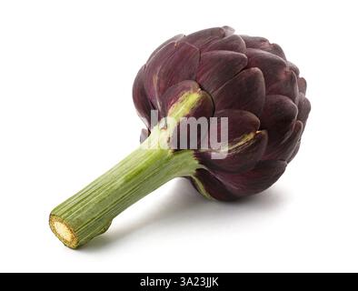 Fresh Artichoke Isolated on White Stock Photo