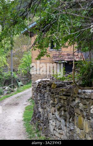 A charming dirt path winds through lush greenery, guiding visitors to a rustic house with a stone wall. The tranquil countryside exudes natural beauty Stock Photo