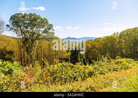 View of the Blue Ridge Mountains from the Blue Ridge Parkway, Virginia, USA Stock Photo