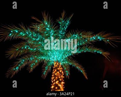 Single palm tree with green Christmas lights in the top and yellow lights on the trunk aganist a dark blue, black sky Stock Photo