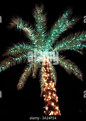 Single palm tree with green Christmas lights in the top and yellow lights on the trunk aganist a dark blue, black sky Stock Photo