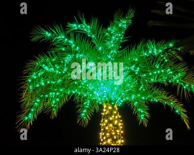 Single palm tree with green Christmas lights in the top and yellow lights on the trunk aganist a dark blue, black sky Stock Photo