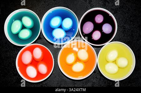 Dyeing different coloured Easter eggs Stock Photo