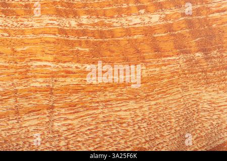 Brown background made of natural wood. Abstract drawing on a tree slice Stock Photo