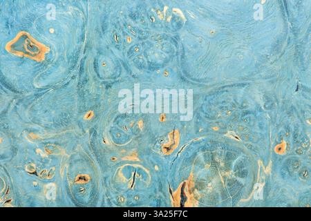 Blue colored background made of natural wood. Abstract drawing on a tree slice Stock Photo
