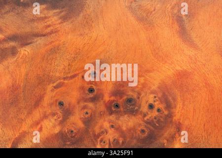 A macro photo of a burgundy-colored wooden background impregnated with colored resin to enhance the strength of the texture. Stabilized wood Stock Photo