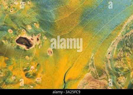 beautiful green background with a wood texture with green veins as a sample of a green background made of natural sawn wood or a sample of a wood text Stock Photo