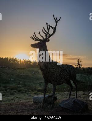 Wicker statue of Red Deer stag at sunset with starburst effect on setting sun, Bainloch Deer Park, Sandyhills, Dumfries and Galloway, Scotland, UK Stock Photo