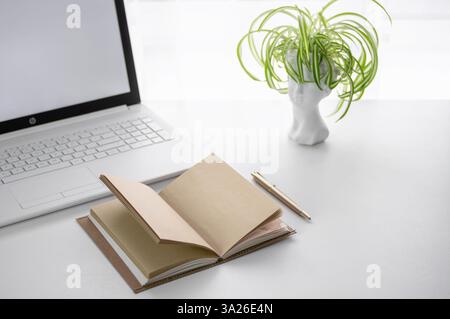 A minimalistic workspace featuring an open notebook, a silver pen, a laptop, and a decorative plant sculpture on a white desk. Stock Photo
