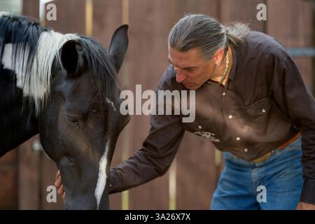 Man with long hair gently interacts with a black and white horse in a fenced area. Brandenburg, Germany Stock Photo