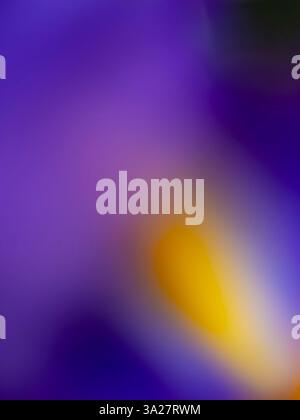 Soft hues of purple blend seamlessly with warm touches of yellow, evoking a whimsical feeling as vibrant blooms sway gently in the breeze during a tra Stock Photo