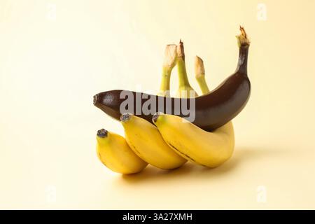 Stop racism. One dark banana and yellow ones on beige background Stock Photo