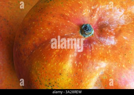 Mango fruit, Close up shot of mango Stock Photo