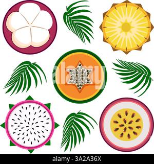 Exotic fruit slices with leaves vector illustration Stock Vector