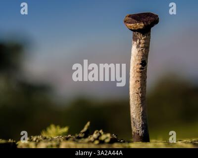 Macro photography of an old rusted bended nail on top of a wooden fence post, in a farm in the eastern Andean mountains of central Colombia. Stock Photo