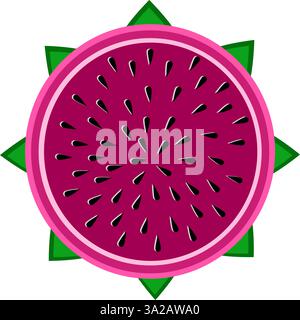 Dragon fruit purple slice vector illustration Stock Vector